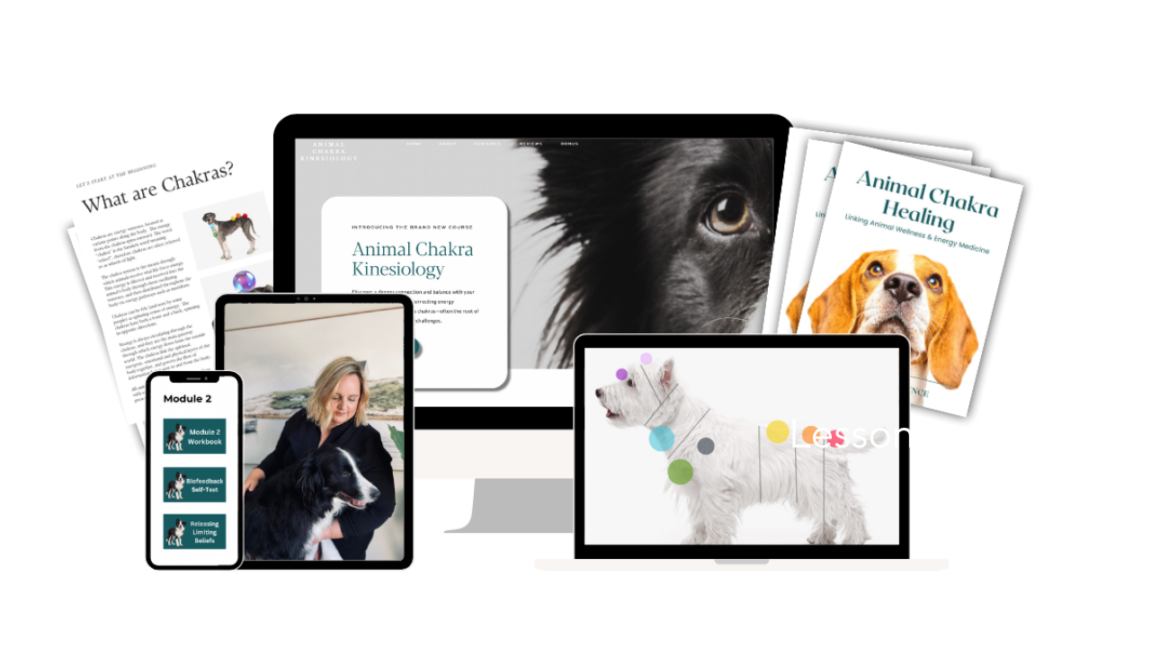 Animal chakra healing