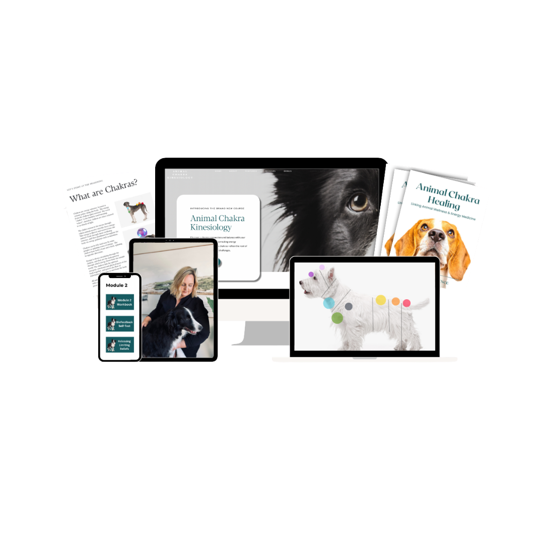 The Animal Chakra Healing course shown across desktop, tablet and phone, with the printed reference books