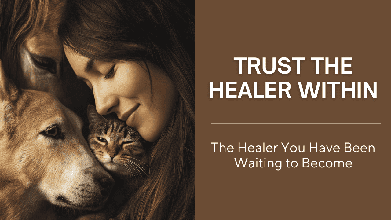 Trust the Healer Within — bonus mini course